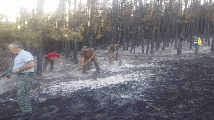 Пет пожара са регистрирани до момента в Североизточна България, засегнати са 16 декара гори